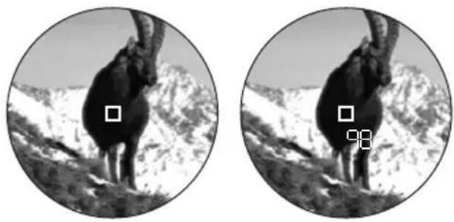 LEICA Geovid R 10x42 - AFSTANDSMETING - 1