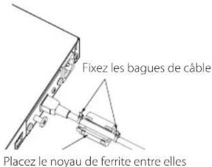 Fixez les bagues de câble Placez le noyau de ferrite entre elles