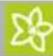 Kärcher CW 3 Klean!Star - 12:05:16 - 2