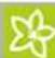 Kärcher CW 3 Klean!Star - 13:25:14 - 3