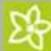 Kärcher CW 3 Klean!Star - 10:53:52 - 2
