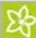 Kärcher CW 3 Klean!Star - 13:25:54 - 2