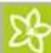 Kärcher CW 3 Klean!Star - 13:25:49 - 3