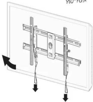 Echogear EGLT3 - REMOVE - 2