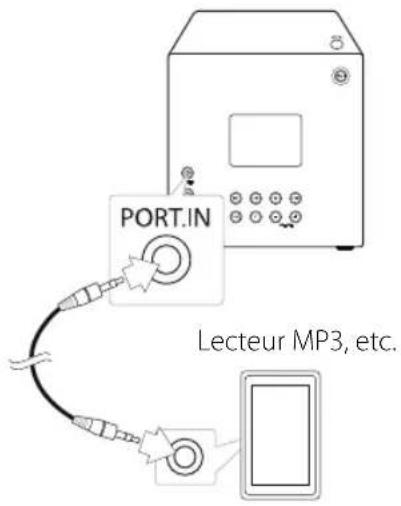 LG CM2130 - Connexion PORT IN - 1