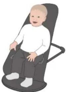 BabyBjörn Bouncer Bliss - Barnstol (max 13 kg) - 1