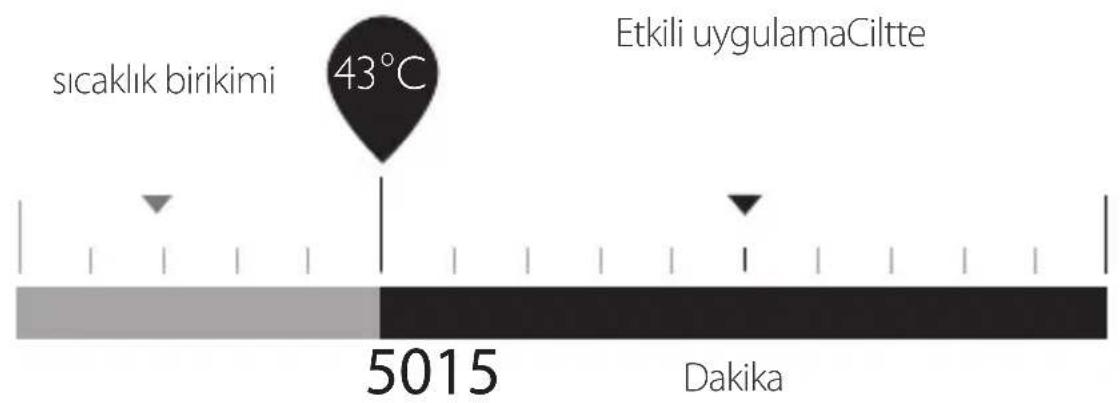 SILKN FaceTite H2111 - Uygulama planı - 1