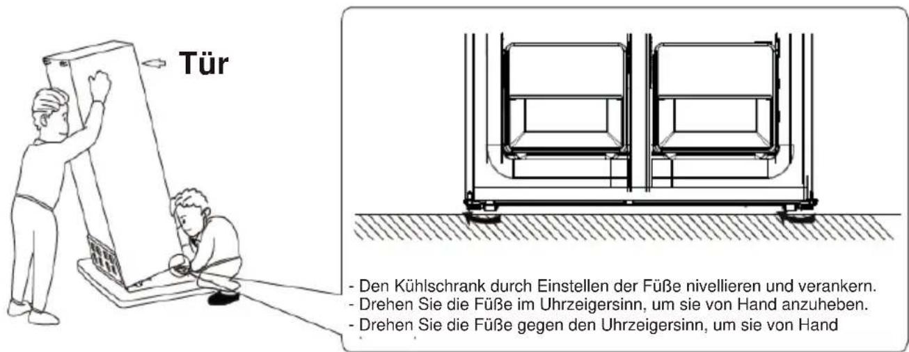 SCHNEIDER SCMD362NFX - Stau - 2