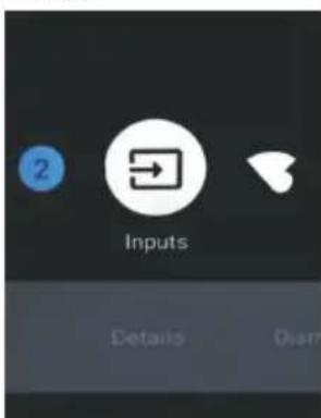 2 Inputs Details Disan