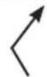 Weston 741001W - DESHIDATADOR DE ALIMENTOS - 2