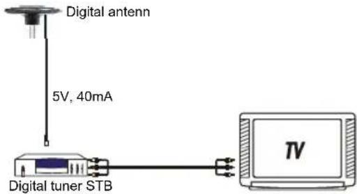 KONIG ANT 117KNL - Produktegenskaper: - 2