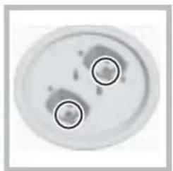 HOTPOINT-ARISTON A6GG1F EX - Replacing the Triple ring burner nozzles - 2