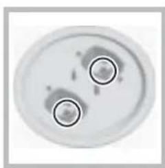 HOTPOINT-ARISTON A6GG1F EX - Remplacement des injecteurs du brûleur triple couronne - 2