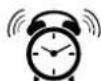 AURIOL IAN 414915 - Alarma - 1