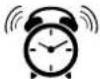 AURIOL IAN 383843 - Alarma - 1