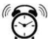 AURIOL IAN 383843 - Alarme - 1