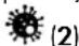 AURIOL IAN 414697 - GR CY - 2