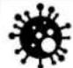 AURIOL IAN 414697 - WARNUNG! - 13