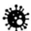 AURIOL IAN 414697 - GR CY - 1