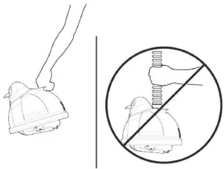 HAYWARD Whaly - NE PAS enrouler le TUYAU - 7