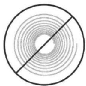 HAYWARD Whaly - DO NOT COIL HOSE - 2