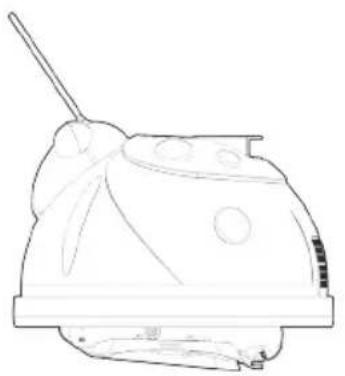 HAYWARD Whaly - HAYWARD® - 1