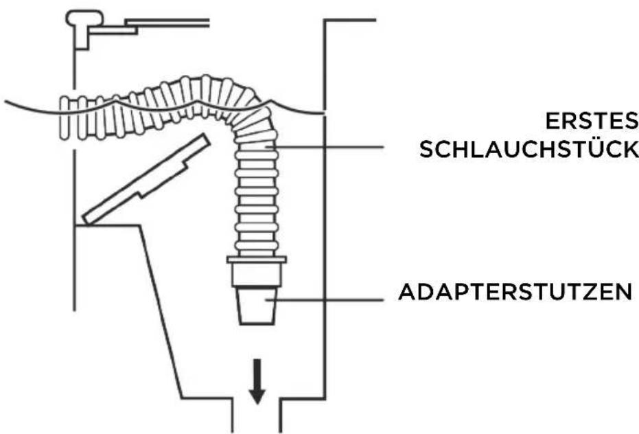 HAYWARD Whaly - Anschluss an den Skimmer: - 1