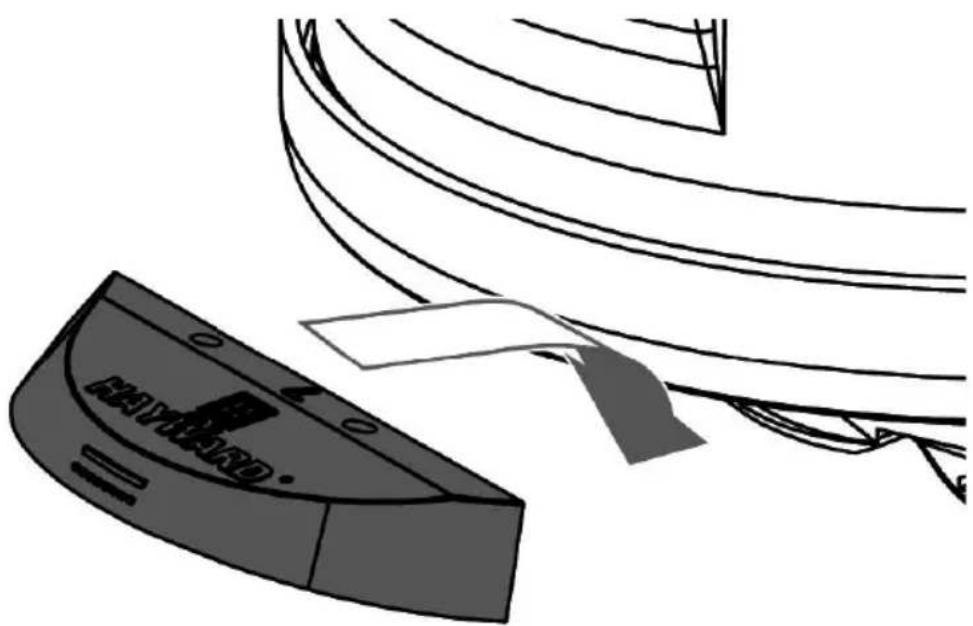 HAYWARD Whaly - Wing Replacement: - 3