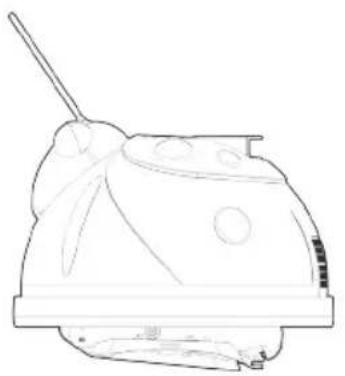 HAYWARD Whaly - 1