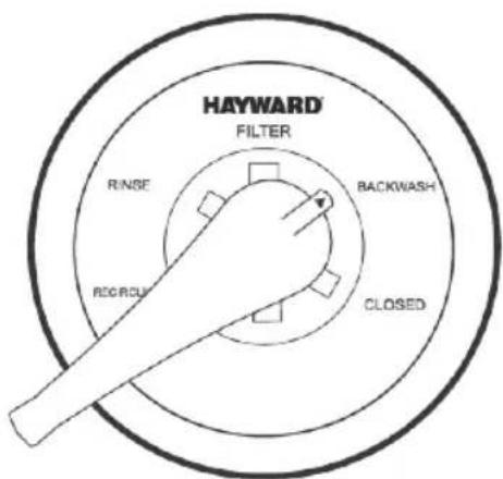 HAYWARD Whaly - WATER CHEMISTRY - 1