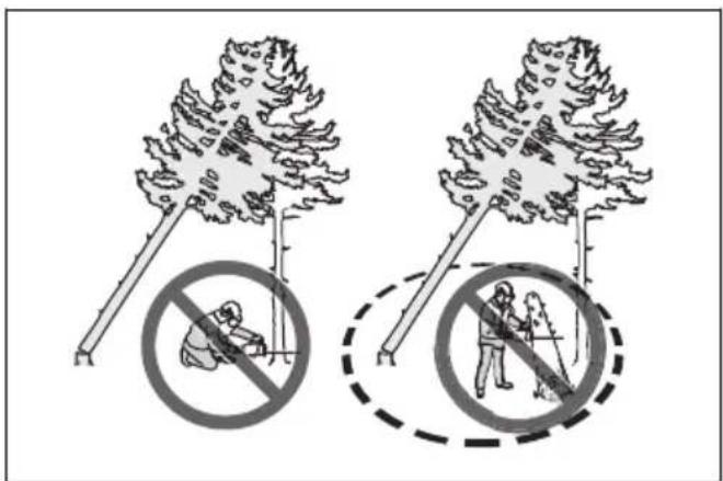 HUSQVARNA 350i - Para liberar un árbol atascado - 2