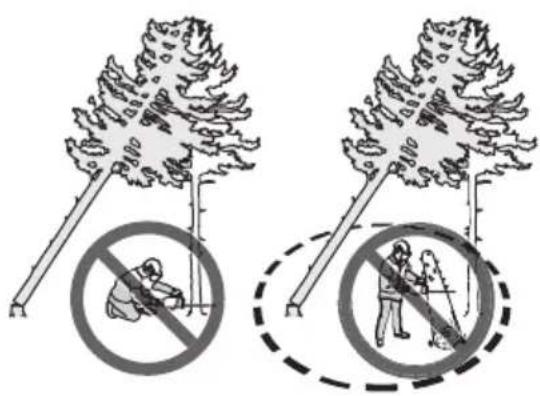 HUSQVARNA 350i - To free a trapped tree - 2