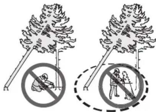 HUSQVARNA 350i - Pour dégager un arbre coincé - 2