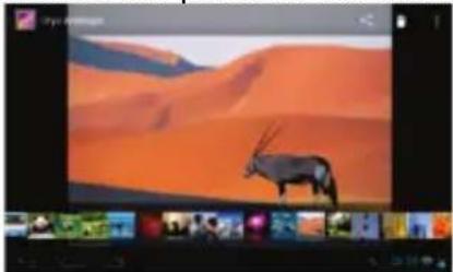 Nextbook Premium 7 SE Google Play - Viewing Photos - 3