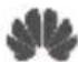 HONOR Band 5 Sport - Trademarks and Permissions - 1