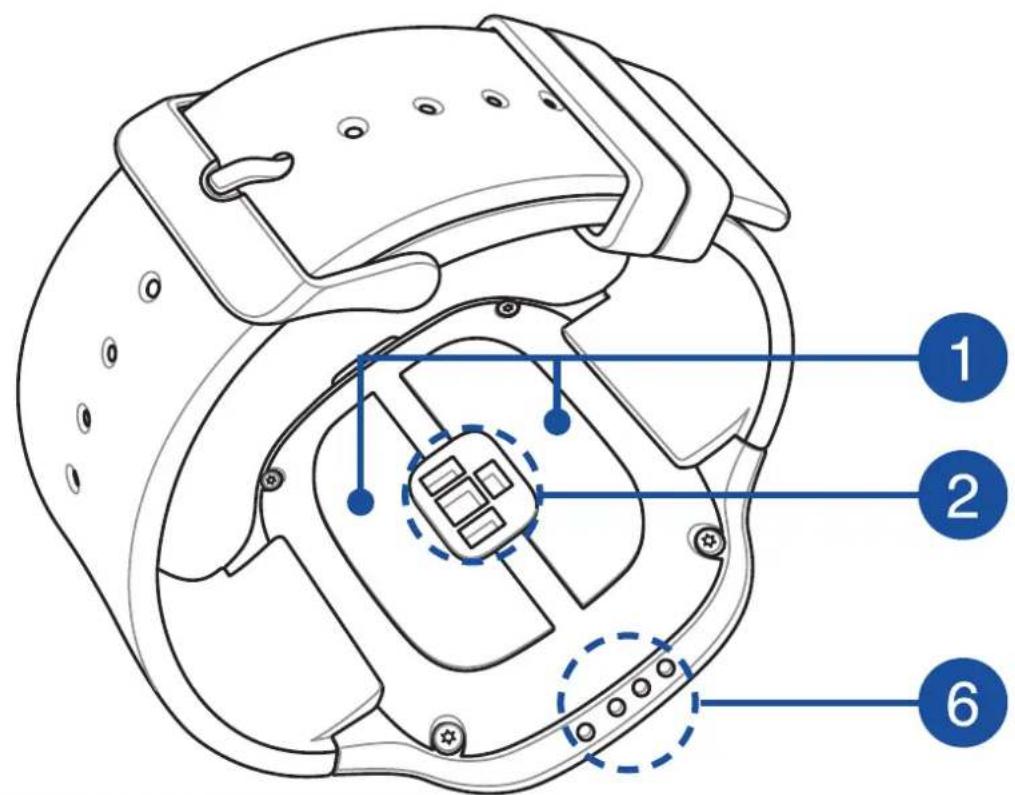 ASUS VivoWatch BP HCA04 - Conoscete il vostro ASUS VivoWatch BP - 2