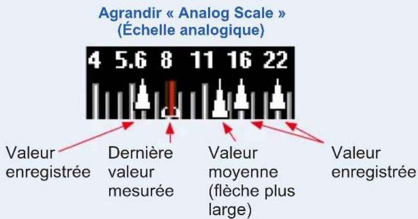 Agrandir « Analog Scale » (Échelle analogique) 4 5.6 8 11 16 22 Valeur enregistrée Dernière valeur mesurée Valeur moyenne (flèche plus large) Valeur enregistrée