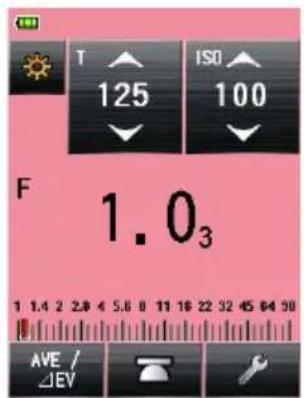 T 125 ISO 100 F 1.0₃ 1 1.4 2 2.8 4 5.6 8 11 16 22 32 45 64 90 AVE / ΔEV