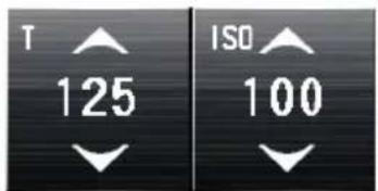T 125 ISO 100