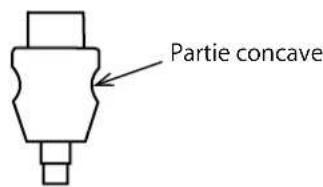 Partie concave