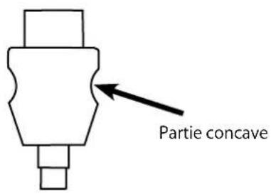 Partie concave