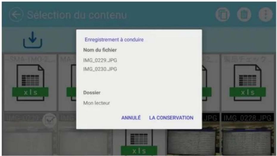 Enregistrement à conduire Nom du fichier IMG_0229.JPG IMG_0230.JPG Dossier Mon lecteur ANNULÉ LA CONSERVATION