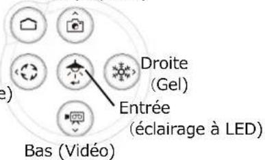 Droite (Gel) Entrée (éclairage à LED) Bas (Vidéo)
