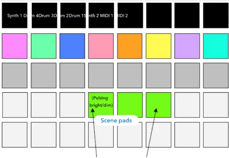NOVATION Circuit Tracks - Chaîner les scènes pour créer un arrangement - 1