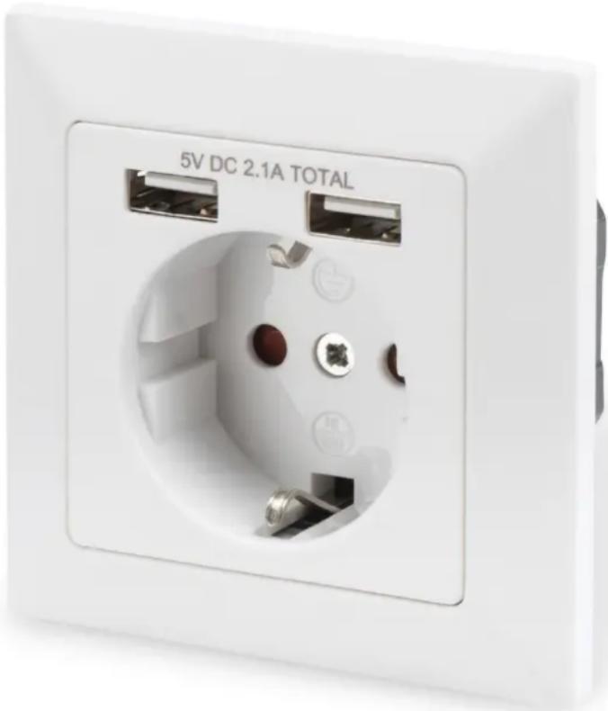Digitus DA70613 - Prise de sécurité pour montage encastré avec 2 ports USB - 1