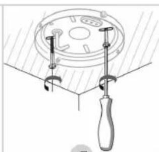 BESTRON DHB42W - COMPLIMENTI! - 11