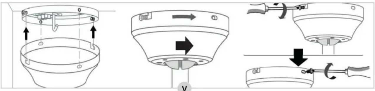 BESTRON DHB42W - COMPLIMENTI! - 15