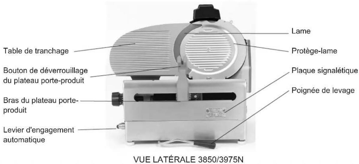 Globe 3975N - Attention propriétaires et opérateurs - 4