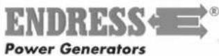 Endress ESE 206 HSGT - E-Mail: Service@endress-generators.de - 1