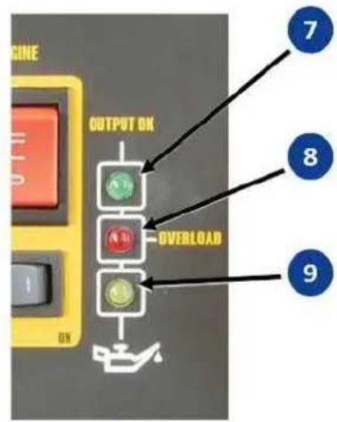 Endress ESE 3000 i - Démarrage électrique - 3